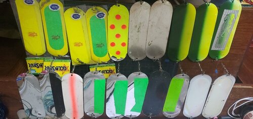 20230314_200522.jpg