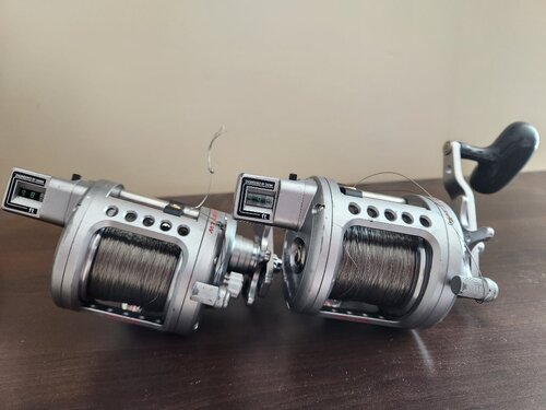 20230319_115129.jpg
