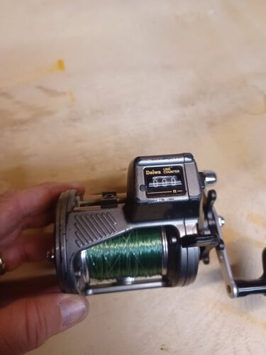 20230417_203147.jpg