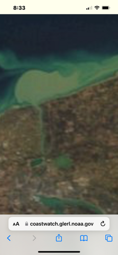 44531CBC-8038-4BE7-AB73-C01C503FDB8A.png