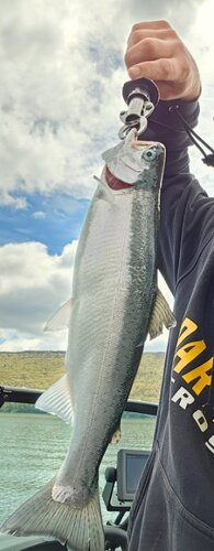 20230505_112215.jpg