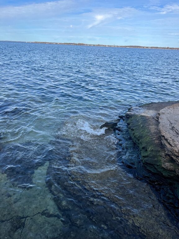 Housing in Sackets Harbor Salmon Run! Classifieds Buy, Sell, Trade