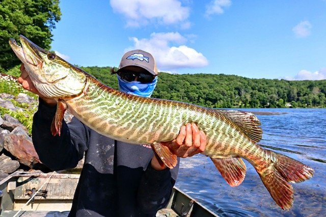 Middlebranch Res. Putnam County - Musky, Tiger Musky & Pike (ESOX) - Lake  Ontario United - Lake Ontario's Largest Fishing & Hunting Community - New  York and Ontario Canada