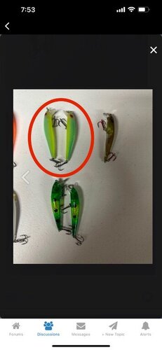 IMG_0765.jpeg