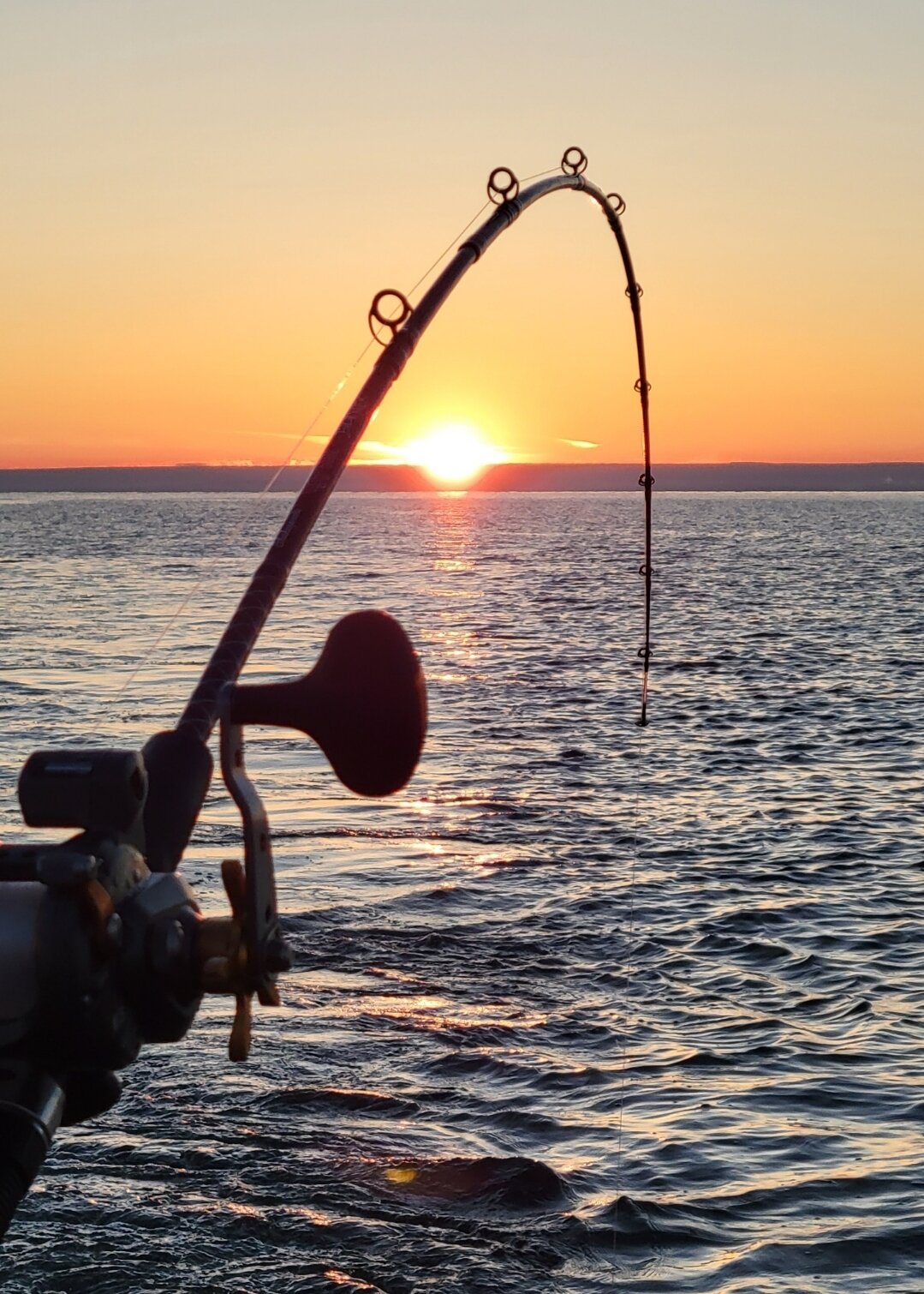 Zinger11 - Lake Ontario United - Lake Ontario's Largest Fishing & Hunting  Community - New York and Ontario Canada