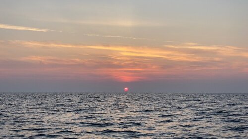 IMG_3471.jpeg