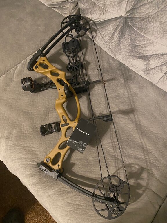 Brand new Hoyt Kobalt Hunting Equipment Lake Ontario United Lake