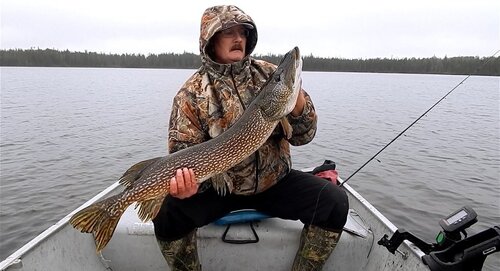 40 inch Pike.jpg
