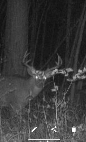 IMG_4243.jpeg