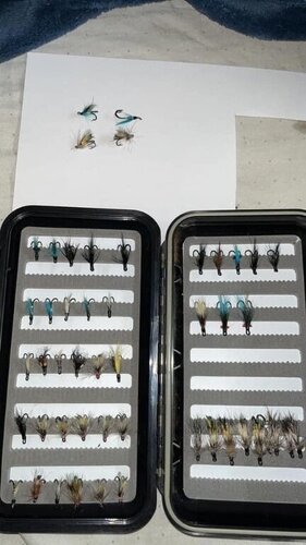 IMG_6257.thumb.jpeg.18323fda43f4eaf30cef42107c987a15.jpeg