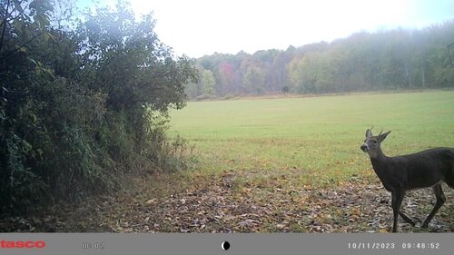IMG_6658.jpeg
