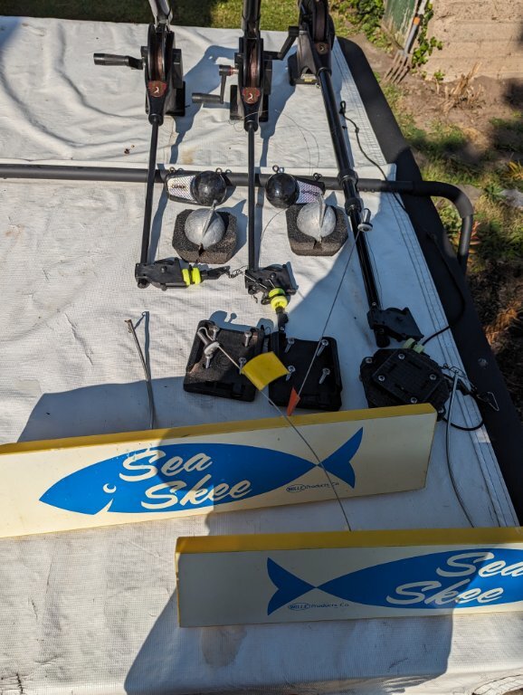 Cannon Downriggers, weights, planer boards Classifieds Buy, Sell