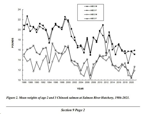 salmonweights2021.thumb.jpg.d1e5730ed2b252839cb51793db7cb0b4.jpg
