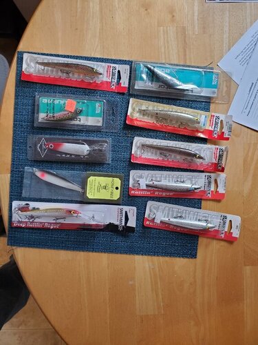 20231122_125338.jpg