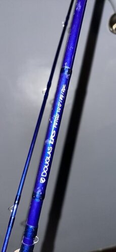 IMG_8397.jpeg