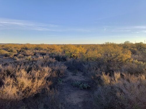 IMG_20231218_080654744_HDR.jpg