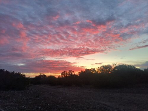 IMG_20231219_072402362_HDR.jpg