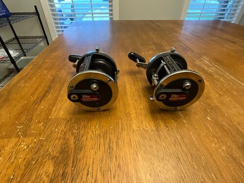 IMG_1436.jpeg