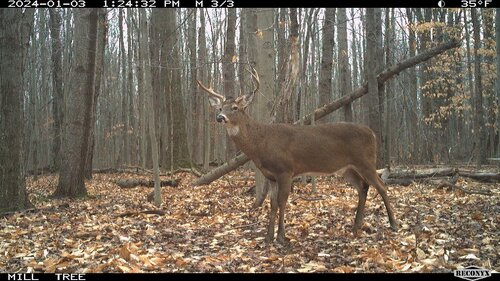 mill full rack.jpg
