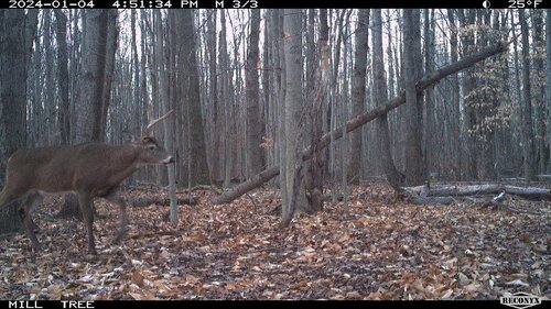 mill half rack 1.jpg
