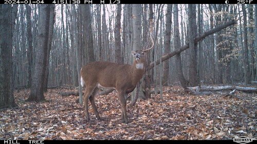 mill half rack 2.jpg