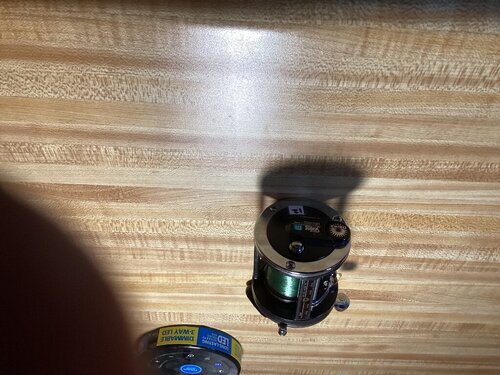 IMG_0019.jpeg