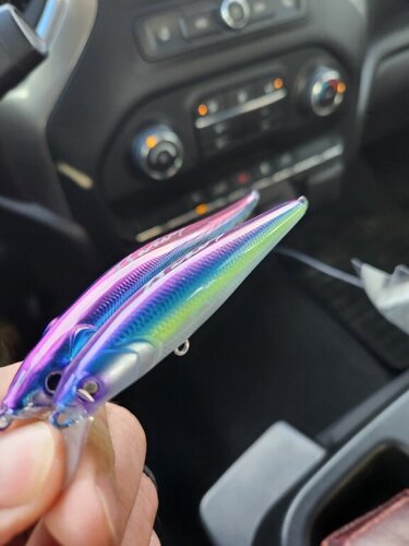 20240318_095640.jpg