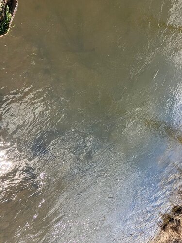 IMG_1866.jpeg