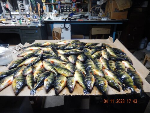 DSCN0718.JPG
