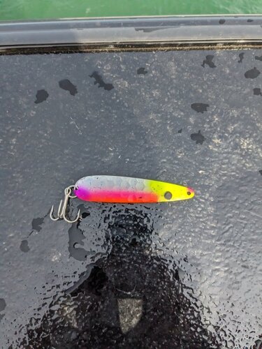 Lure 04.10.24.jpg