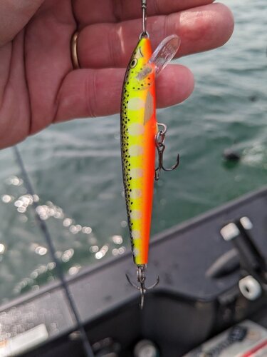 Lure 2 04.10.24.jpg