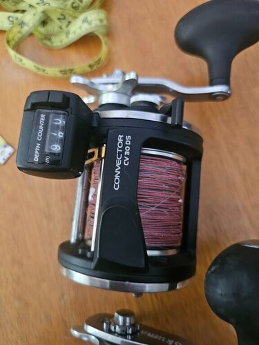 20240522_121228.jpg