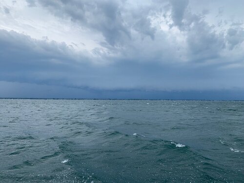 IMG_5742.jpeg
