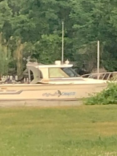 IMG_2028.jpeg