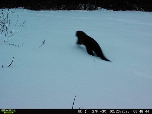IMG_7904.jpeg