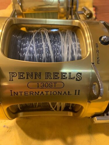 reel1.jpeg