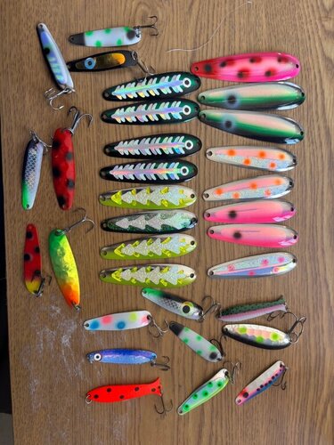 IMG_6533.thumb.jpeg.ac4f14cf7ecc9846b39b2ca455a09fb1.jpeg
