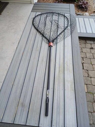 Resized_SalmonNet2.jpeg