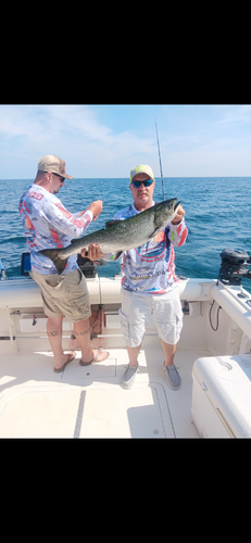 IMG_20250706_204357.png