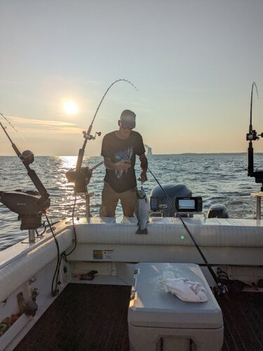 PXL_20250712_103935213.thumb.jpg.5a6f0734f8d97aa26abbfa8894a2a5df.jpg