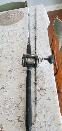 20250823_130254.thumb.jpg.6cc42f30f59832225c0c741b8be7c000.jpg
