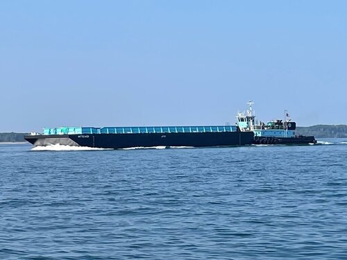 IMG_8850.jpeg