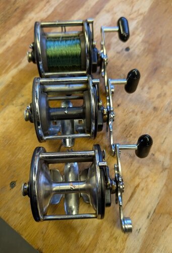 Reels 2.jpg