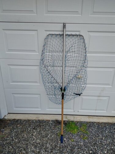 fish net #1.jpg
