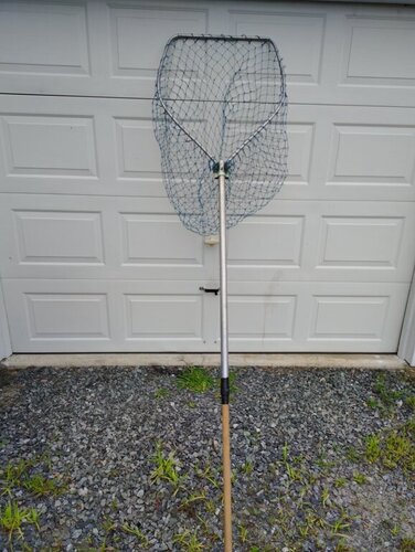 fish net #2.jpg