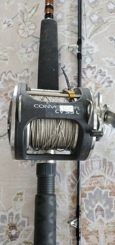 image.thumb.jpeg.ceabca0f945d2868c7f5b0d7dc9430e9.jpeg