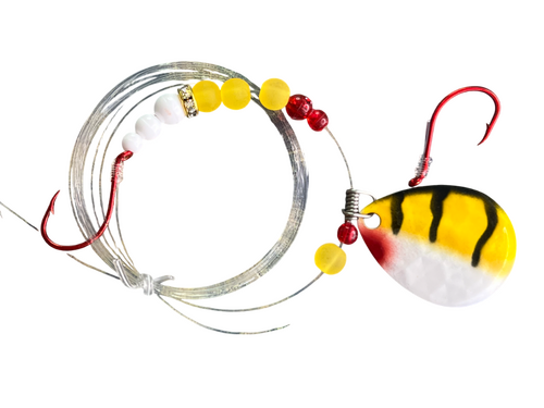 killer bee d custom worm harness.png