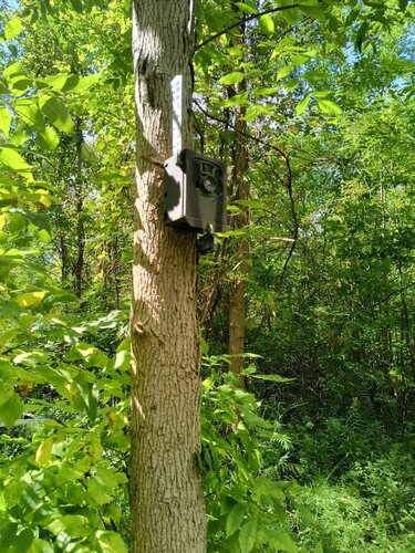 IMG_20250907_113245844_HDR.jpg