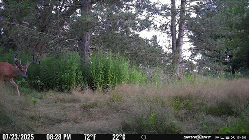 IMG_5659.jpeg