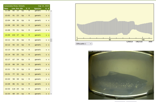 image.thumb.png.662865112e50aa4083510eed1d6fc78f.png